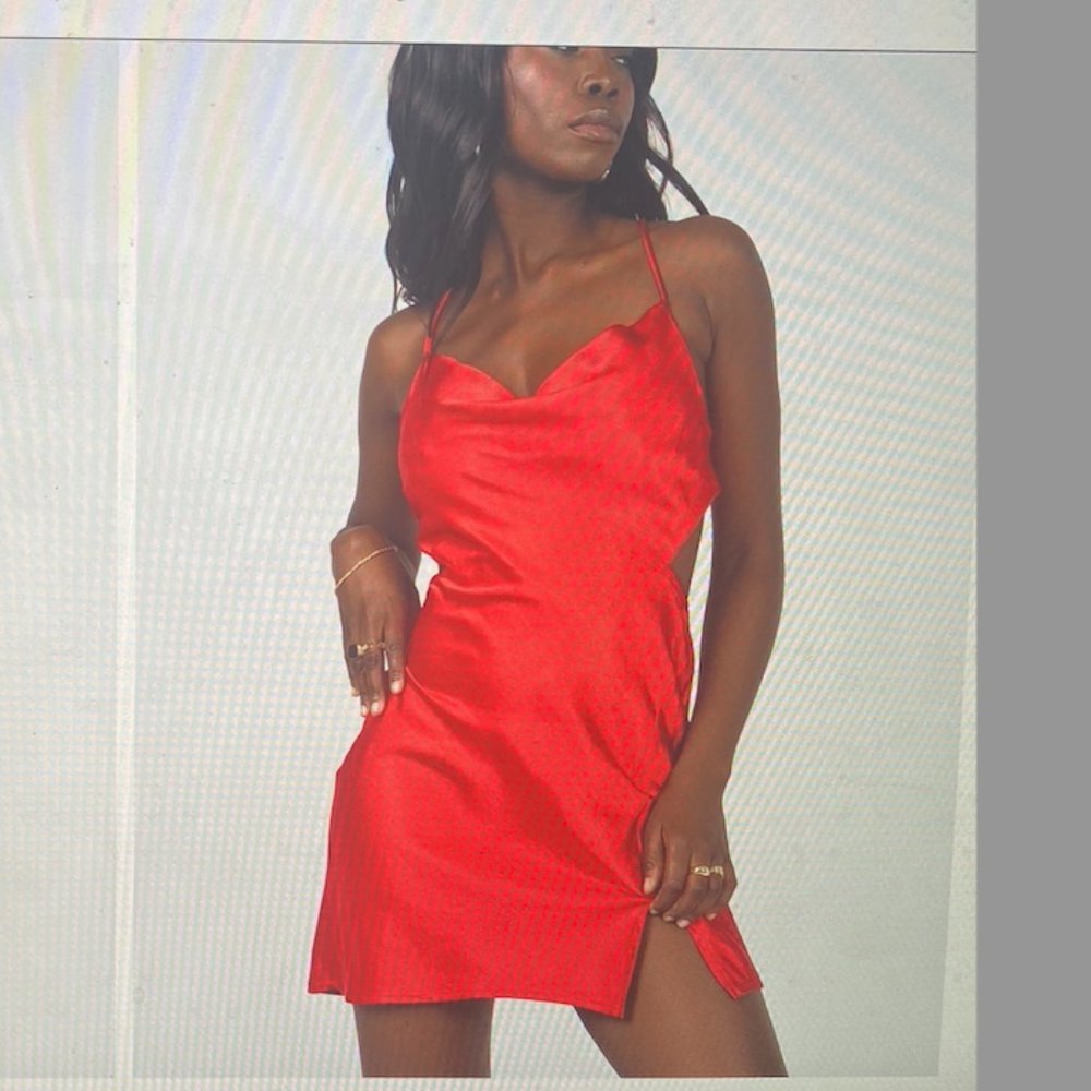 Princess Polly Red Mini Dress Size 4